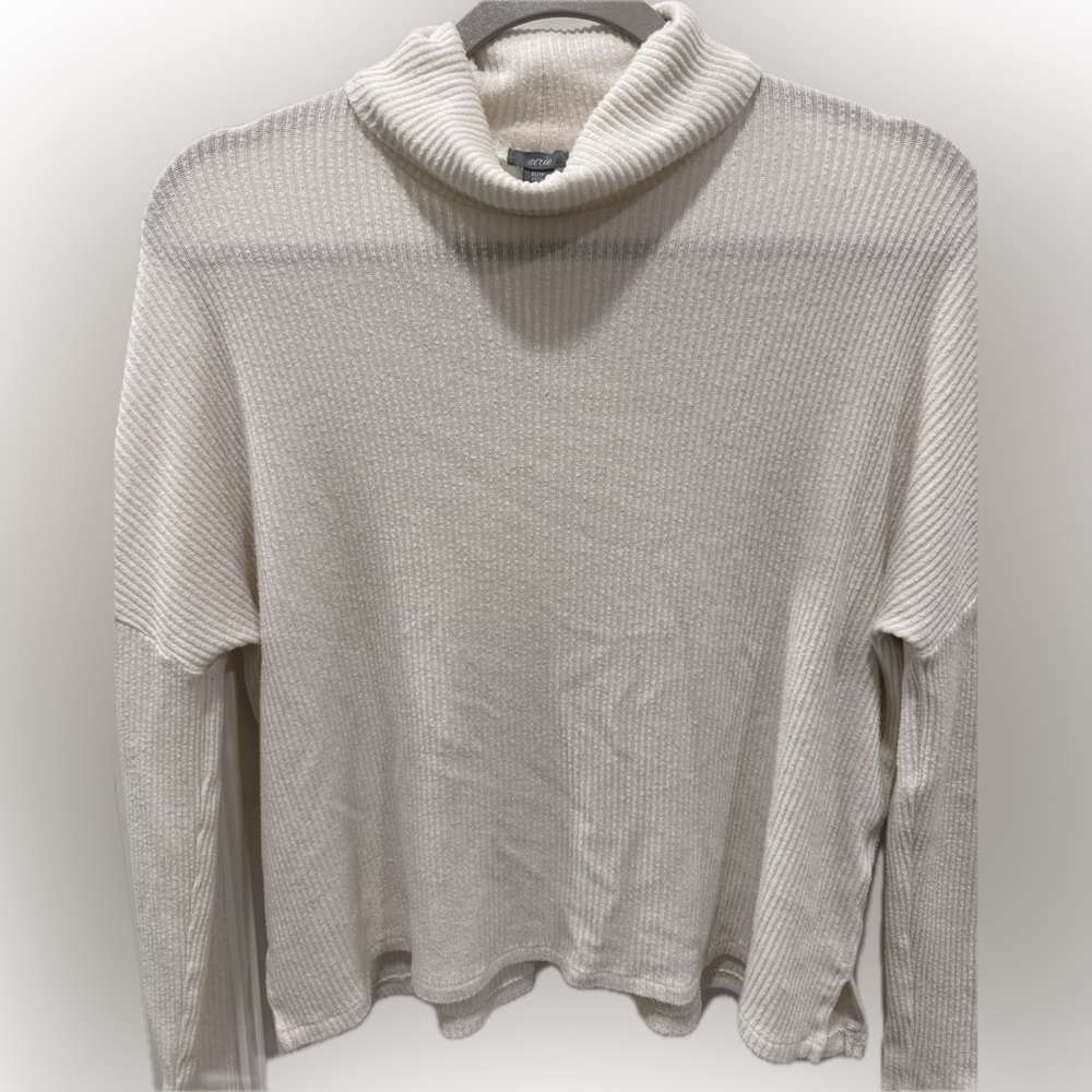 Aerie Turtle Neck Sweater